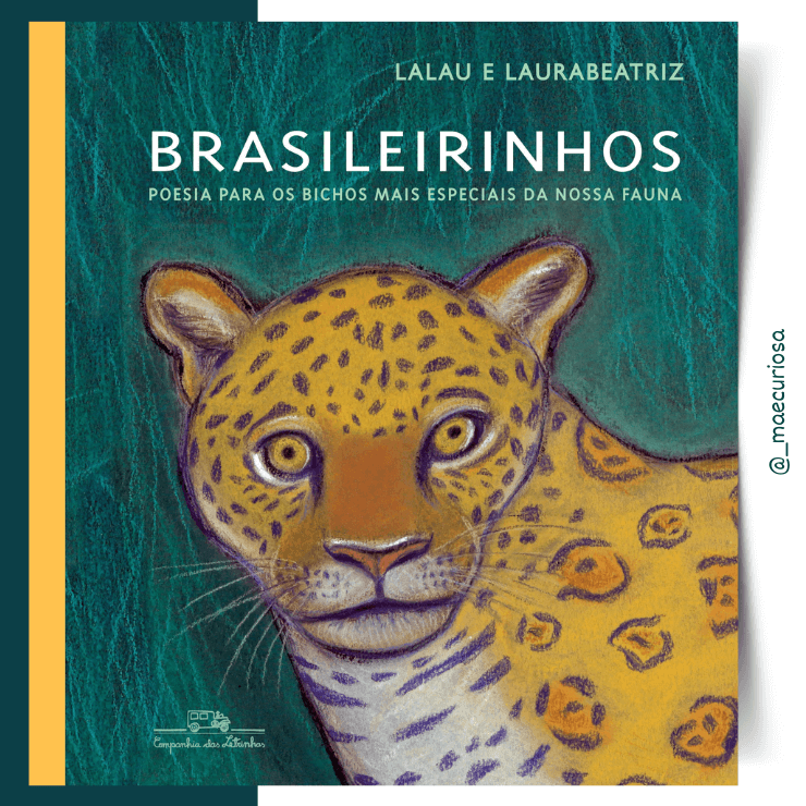 “Brasileirinhos” de Lalau e Laurabeatriz